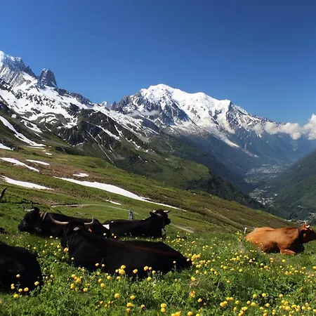 Alpenrose Saint-Gervais-les-Bains