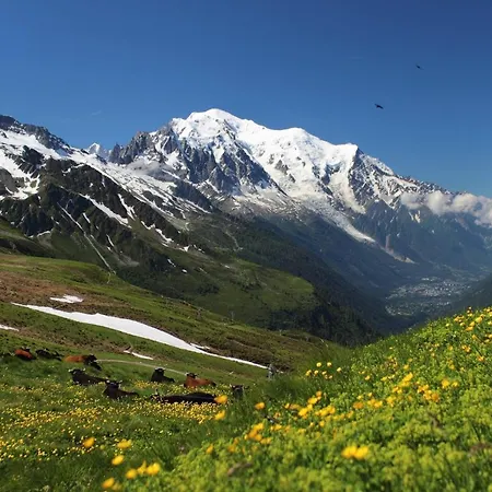 Appart hôtel Alpenrose *